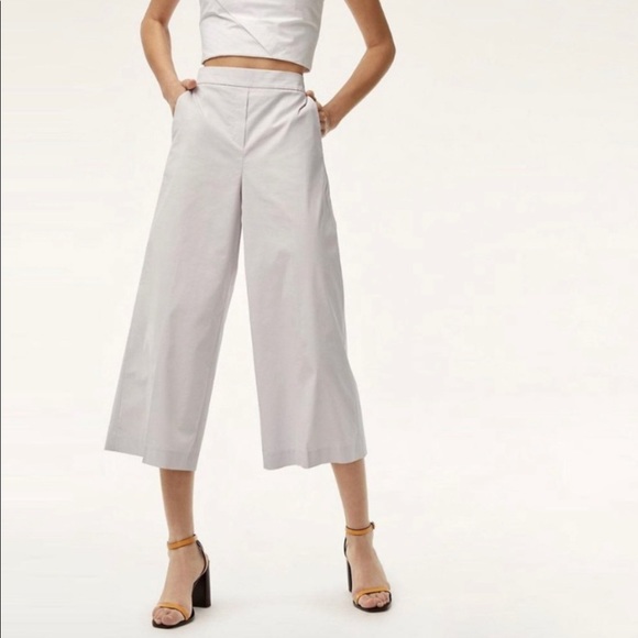 Aritzia Pants - ARITZIA BABATON Manolo Pants